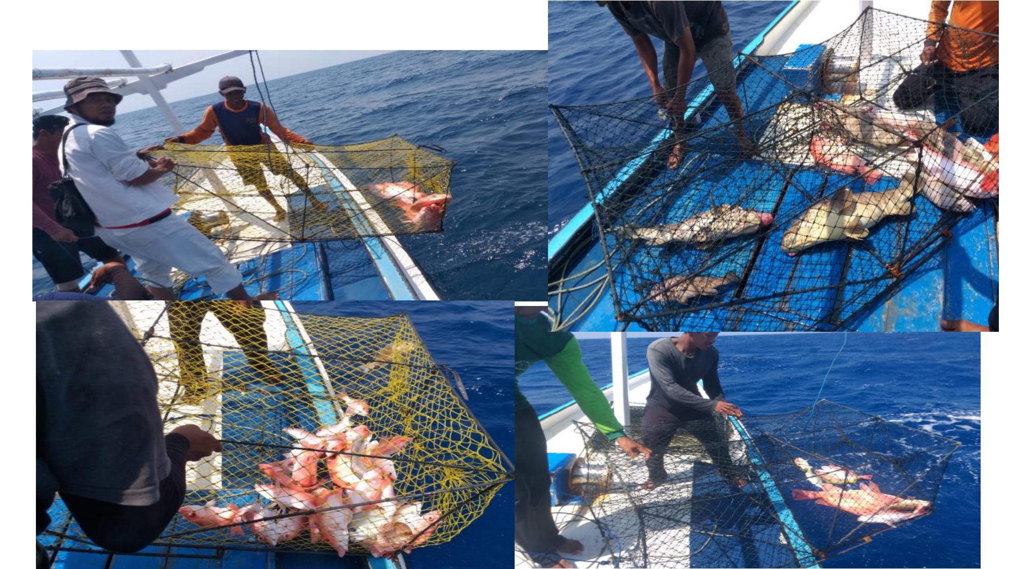 FROM BUBU LIPAT FISHING TO ECO FASHION : DIVERSIFICATION ACTION TO COASTAL COMMUNITY SUAK GUAL-BELITUNG ISLAND- INDONESIA